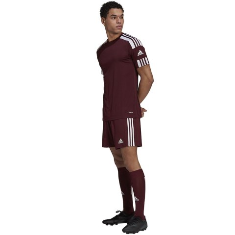 Spodenki męskie adidas Squadra 21 Short bordowe GN8083 Adidas teamwear
