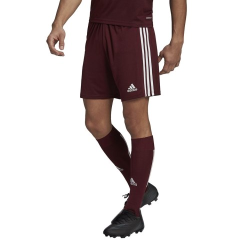 Spodenki męskie adidas Squadra 21 Short bordowe GN8083 Adidas teamwear