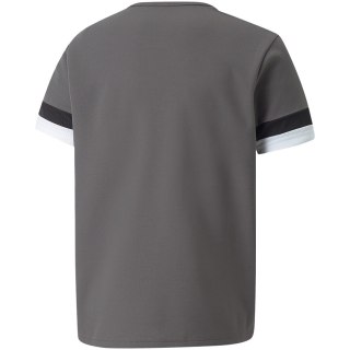 Koszulka dla dzieci Puma teamRISE Jersey Jr szara 704938 13 Puma