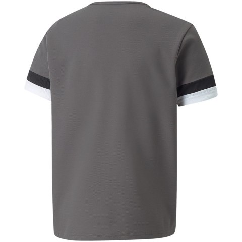 Koszulka dla dzieci Puma teamRISE Jersey Jr szara 704938 13 Puma Koszulka dla dzieci Puma teamRISE Jersey Jr szara 704938 13 Puma