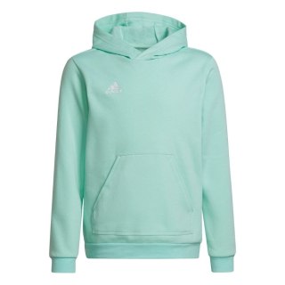 Bluza dla dzieci adidas Entrada 22 Hoody miętowa HC5066 Adidas teamwear