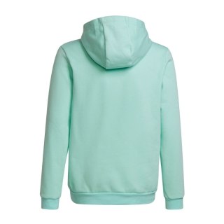 Bluza dla dzieci adidas Entrada 22 Hoody miętowa HC5066 Adidas teamwear