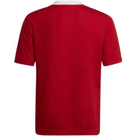 Koszulka dla dzieci adidas Entrada 22 Jsy czerwona H57496 Adidas teamwear Koszulka dla dzieci adidas Entrada 22 Jsy czerwona H57496 Adidas teamwear