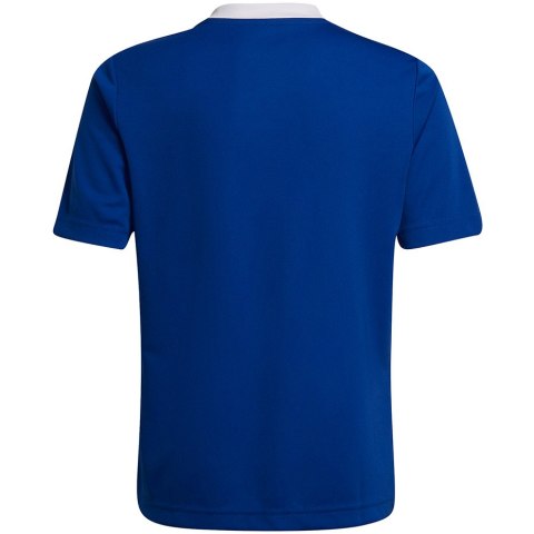 Koszulka dla dzieci adidas Entrada 22 Jsy niebieska HG3948 Adidas teamwear Koszulka dla dzieci adidas Entrada 22 Jsy niebieska HG3948 Adidas teamwear