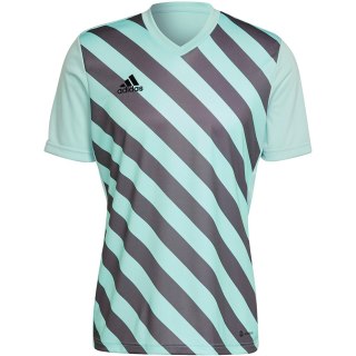 Koszulka męska adidas Entrada 22 Graphic Jersey miętowa HF0119 Adidas teamwear