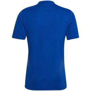 Koszulka męska adidas Entrada 22 Graphic Jersey niebiesko-błękitna HF0116 Adidas teamwear