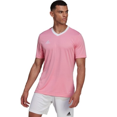 Koszulka męska adidas Entrada 22 Jersey różowa HC5072 Adidas teamwear