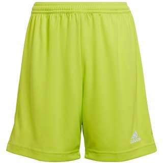Spodenki dla dzieci adidas Entrada 22 limonkowe HC5065 Adidas teamwear