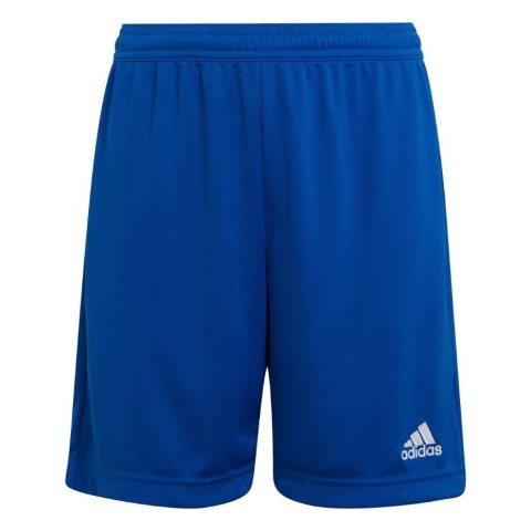 Spodenki dla dzieci adidas Entrada 22 niebieskie HG6291 Adidas teamwear Spodenki dla dzieci adidas Entrada 22 niebieskie HG6291 Adidas teamwear