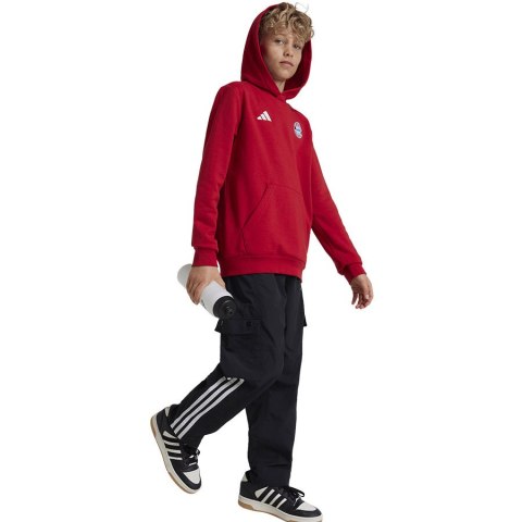 Bluza adidas FC Bayern HD Junior Jr IT4134 czerwony 164 cm Adidas