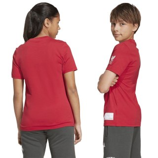 Koszulka adidas Liverpool FC Tee Junior JW7878 czerwony 176 cm Adidas