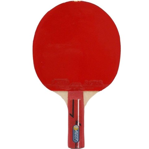 Rakietka Best Sporting TRAINING Pozostałe