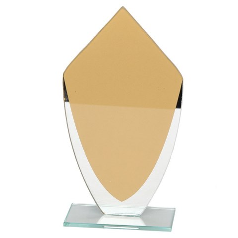 Trofeum szklane W282 185x110 Biemans