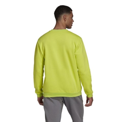 Bluza męska adidas Entrada 22 Sweat Top limonkowa HC5049 Adidas teamwear