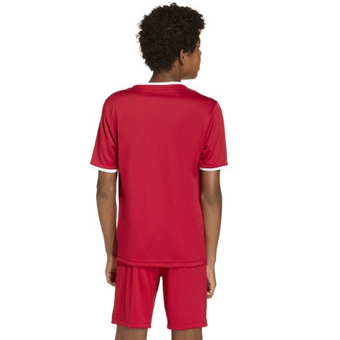 Koszulka adidas Entrada 26 JSY JZ2523 czerwony 140 cm Adidas