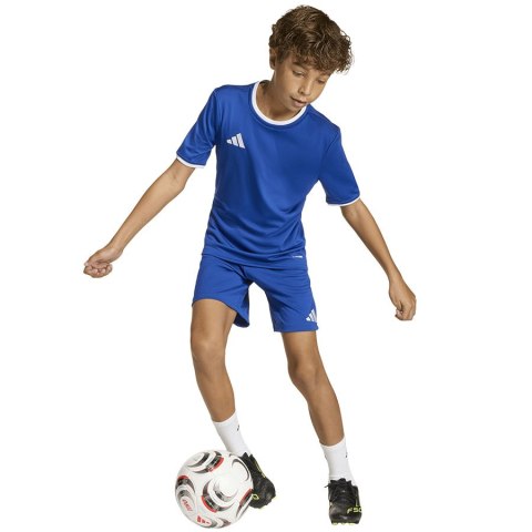 Spodenki adidas ENTRADA 26 Short Junior JZ6524 niebieski 128 cm Adidas