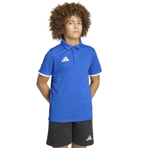 Koszulka adidas Polo ENTRADA 26 Junior JZ6625 niebieski 164 cm Adidas