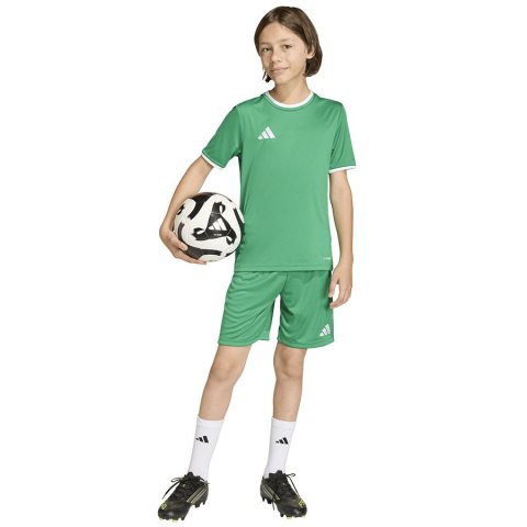 Spodenki adidas ENTRADA 26 Short Junior JZ6530 zielony 176 cm Adidas
