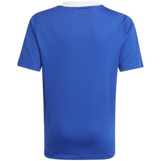Koszulka dla dzieci adidas Tiro 21 Training Jersey niebieska GM7577 Adidas teamwear