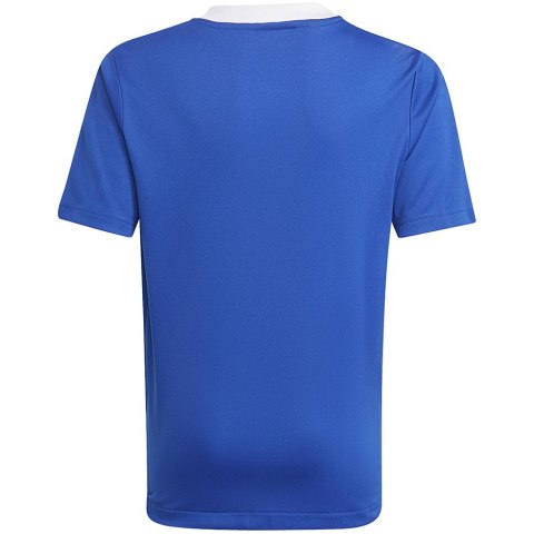 Koszulka dla dzieci adidas Tiro 21 Training Jersey niebieska GM7577 Adidas teamwear Koszulka dla dzieci adidas Tiro 21 Training Jersey niebieska GM7577 Adidas teamwear