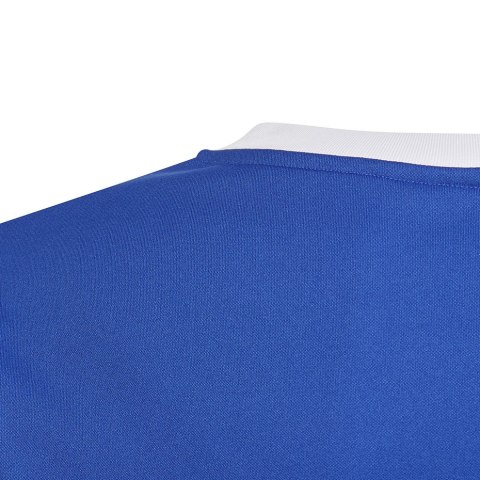 Koszulka dla dzieci adidas Tiro 21 Training Jersey niebieska GM7577 Adidas teamwear Koszulka dla dzieci adidas Tiro 21 Training Jersey niebieska GM7577 Adidas teamwear