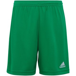 Spodenki dla dzieci adidas Entrada 22 zielone IC7410 Adidas teamwear