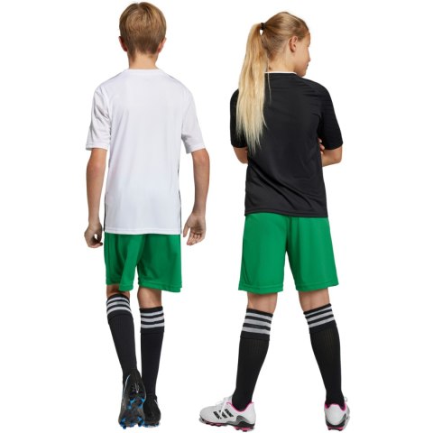 Spodenki dla dzieci adidas Entrada 22 zielone IC7410 Adidas teamwear