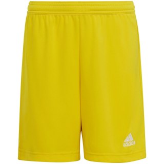 Spodenki dla dzieci adidas Entrada 22 żółte IC7411 Adidas teamwear