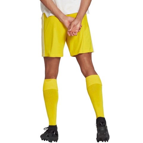 Spodenki męskie adidas Squadra 21 Short żółte GN5772 S Adidas teamwear