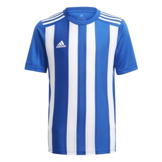 Koszulka dla dzieci adidas Striped 21 Jersey Youth biało-niebieska GH7323 164cm Adidas teamwear