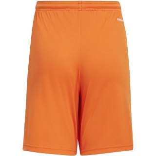 Spodenki dla dzieci adidas Squadra 21 Short Youth pomarańczowe GN8082 116cm Adidas teamwear