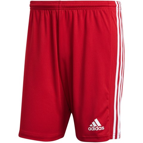 Spodenki męskie adidas czerwone Squadra 21 Shorts GN5771 S Adidas teamwear
