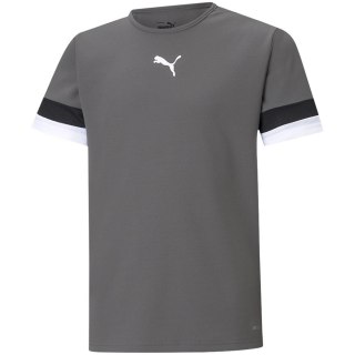 Koszulka dla dzieci Puma teamRISE Jersey Jr szara 704938 13 128 Puma