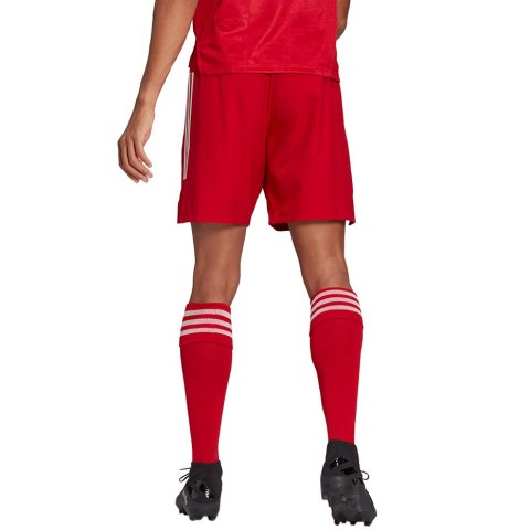 Spodenki męskie adidas Condivo 21 Primeblue Shorts czerwone GJ6810 L Adidas teamwear