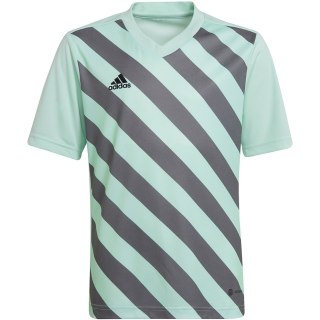Koszulka dla dzieci adidas Entrada 22 Graphic Jersey miętowo-szara HF0127 116cm Adidas teamwear