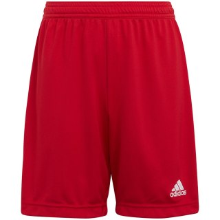 Spodenki dla dzieci adidas Entrada 22 czerwone H57501 128cm Adidas teamwear