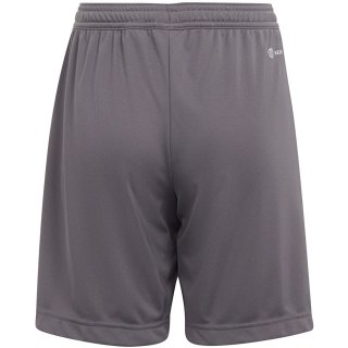 Spodenki dla dzieci adidas Entrada 22 szare H57507 140cm Adidas teamwear