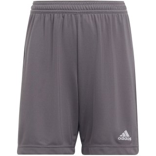 Spodenki dla dzieci adidas Entrada 22 szare H57507 152cm Adidas teamwear
