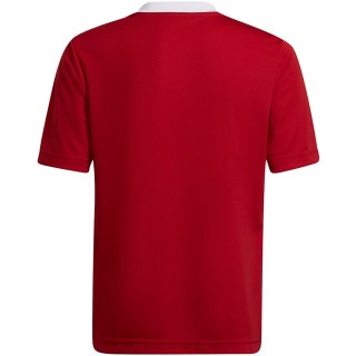 Koszulka dla dzieci adidas Entrada 22 Jsy czerwona H57496 164cm Adidas teamwear
