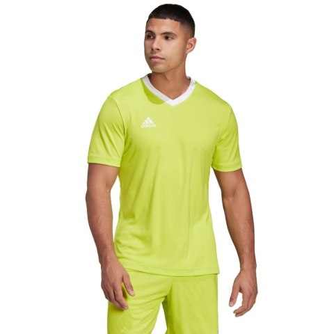 Koszulka męska adidas Entrada 22 Jersey limonkowa HC5077 XL Adidas teamwear