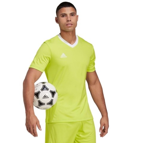 Koszulka męska adidas Entrada 22 Jersey limonkowa HC5077 XL Adidas teamwear