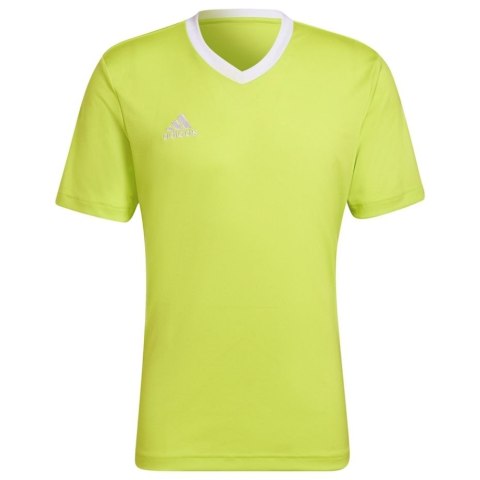 Koszulka męska adidas Entrada 22 Jersey limonkowa HC5077 S Adidas teamwear
