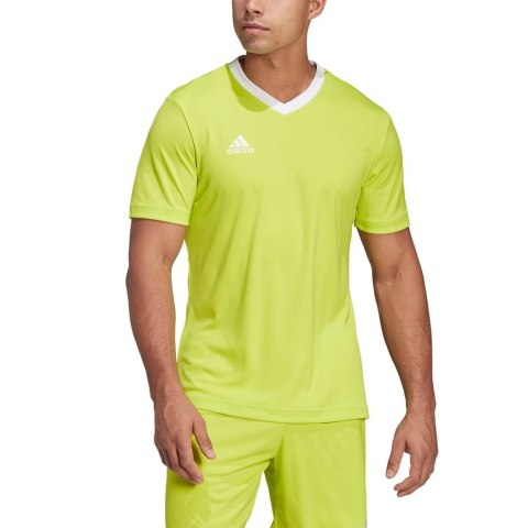 Koszulka męska adidas Entrada 22 Jersey limonkowa HC5077 S Adidas teamwear