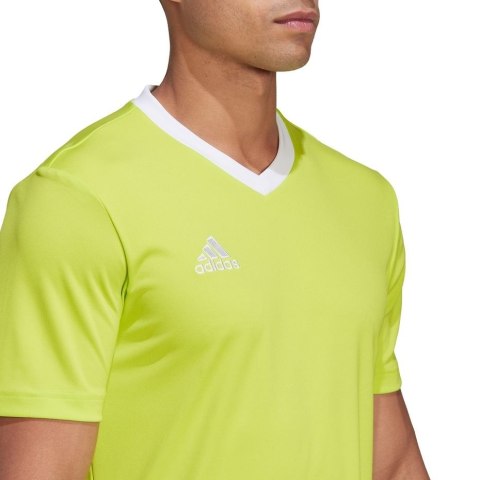 Koszulka męska adidas Entrada 22 Jersey limonkowa HC5077 S Adidas teamwear