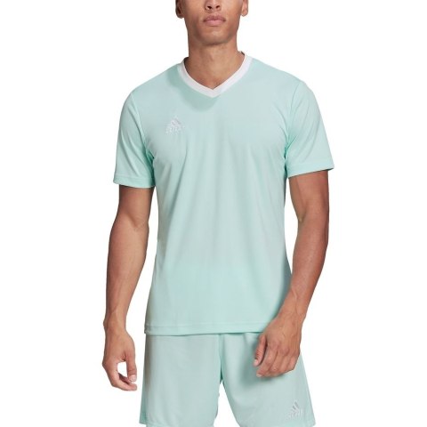 Koszulka męska adidas Entrada 22 Jersey miętowa HC5073 2XL Adidas teamwear