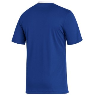 Koszulka męska adidas Entrada 22 Jersey niebieska HG6283 L Adidas teamwear