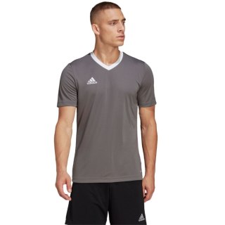 Koszulka męska adidas Entrada 22 Jersey szara HE1574 XL Adidas teamwear