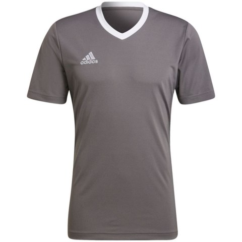 Koszulka męska adidas Entrada 22 Jersey szara HE1574 XL Adidas teamwear