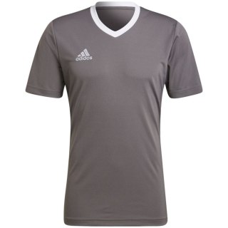 Koszulka męska adidas Entrada 22 Jersey szara HE1574 M Adidas teamwear