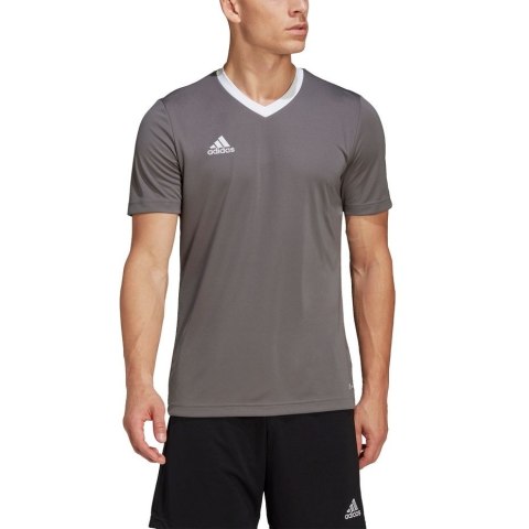 Koszulka męska adidas Entrada 22 Jersey szara HE1574 M Adidas teamwear